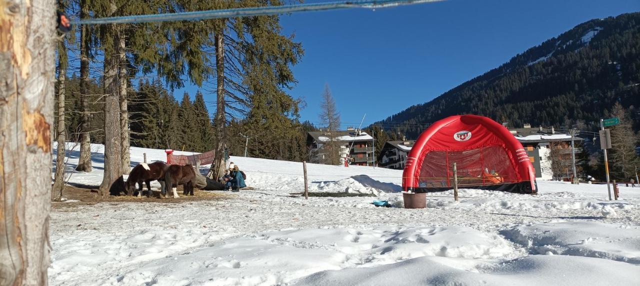 Studio Appartement Avec Piscine, Ski Porte Du Soleil Morgins, Ps3 Games, Wash & Bring Sheets Exteriör bild